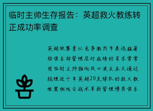 临时主帅生存报告：英超救火教练转正成功率调查