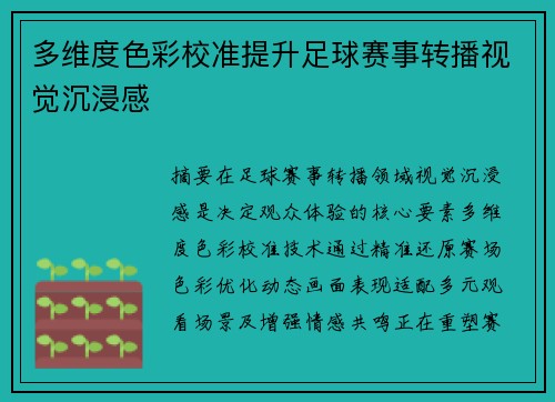 多维度色彩校准提升足球赛事转播视觉沉浸感