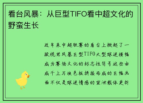 看台风暴：从巨型TIFO看中超文化的野蛮生长